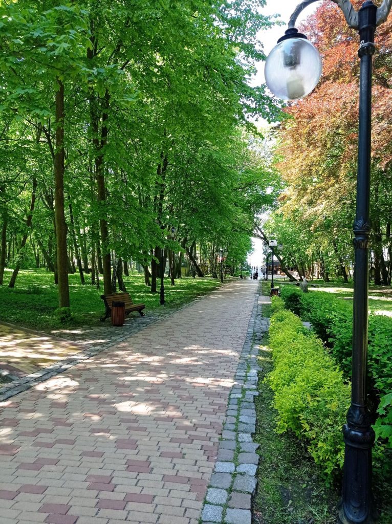 Центральная аллея в парке Беккера