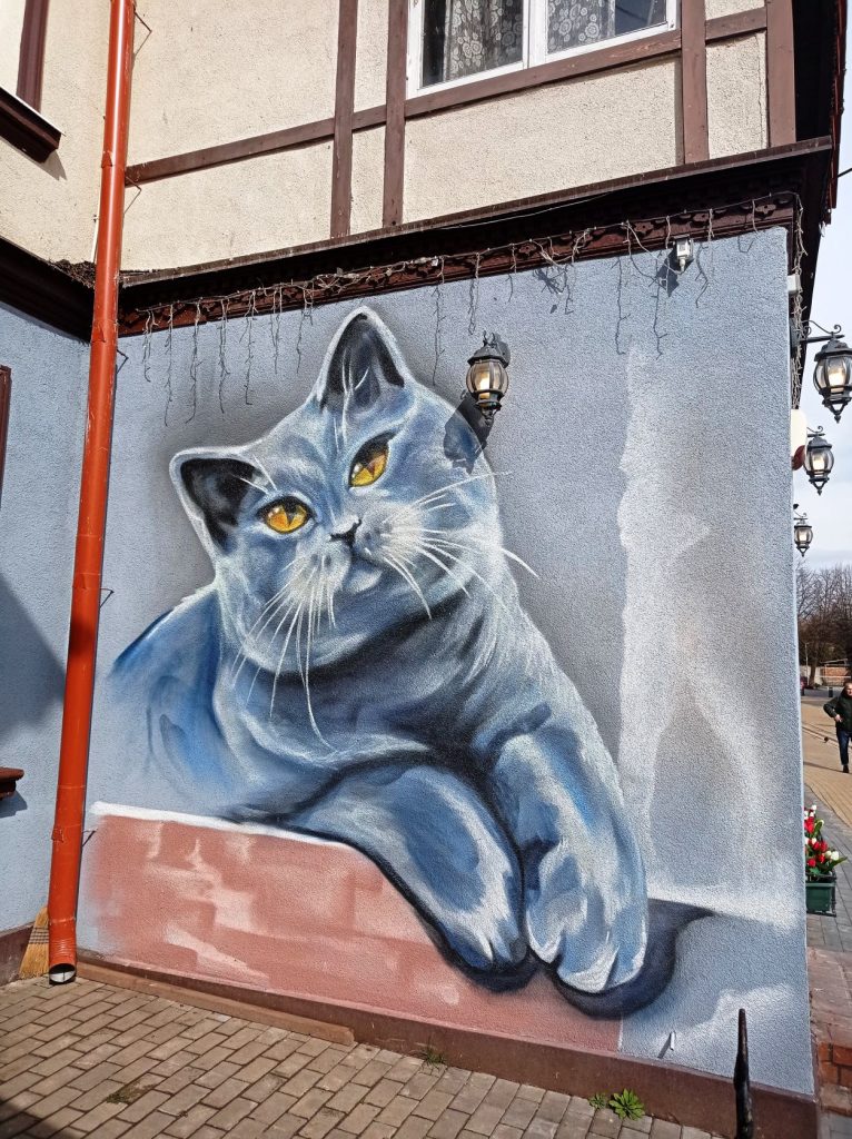 Изображение кота на стене дома